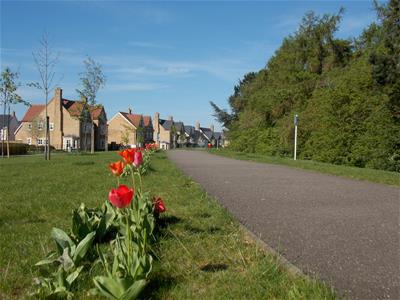 Picture 22